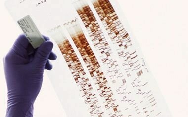 ДНК тест на установление родства, многопрофильная клиника  МедПросвет