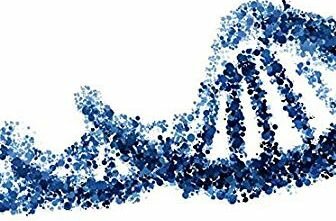 Генетические анализы (ДНК), многопрофильная клиника  МедПросвет