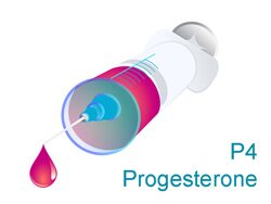 Анализ на прогестерон p4