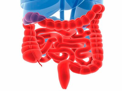 болит правый бок кишечник картинка